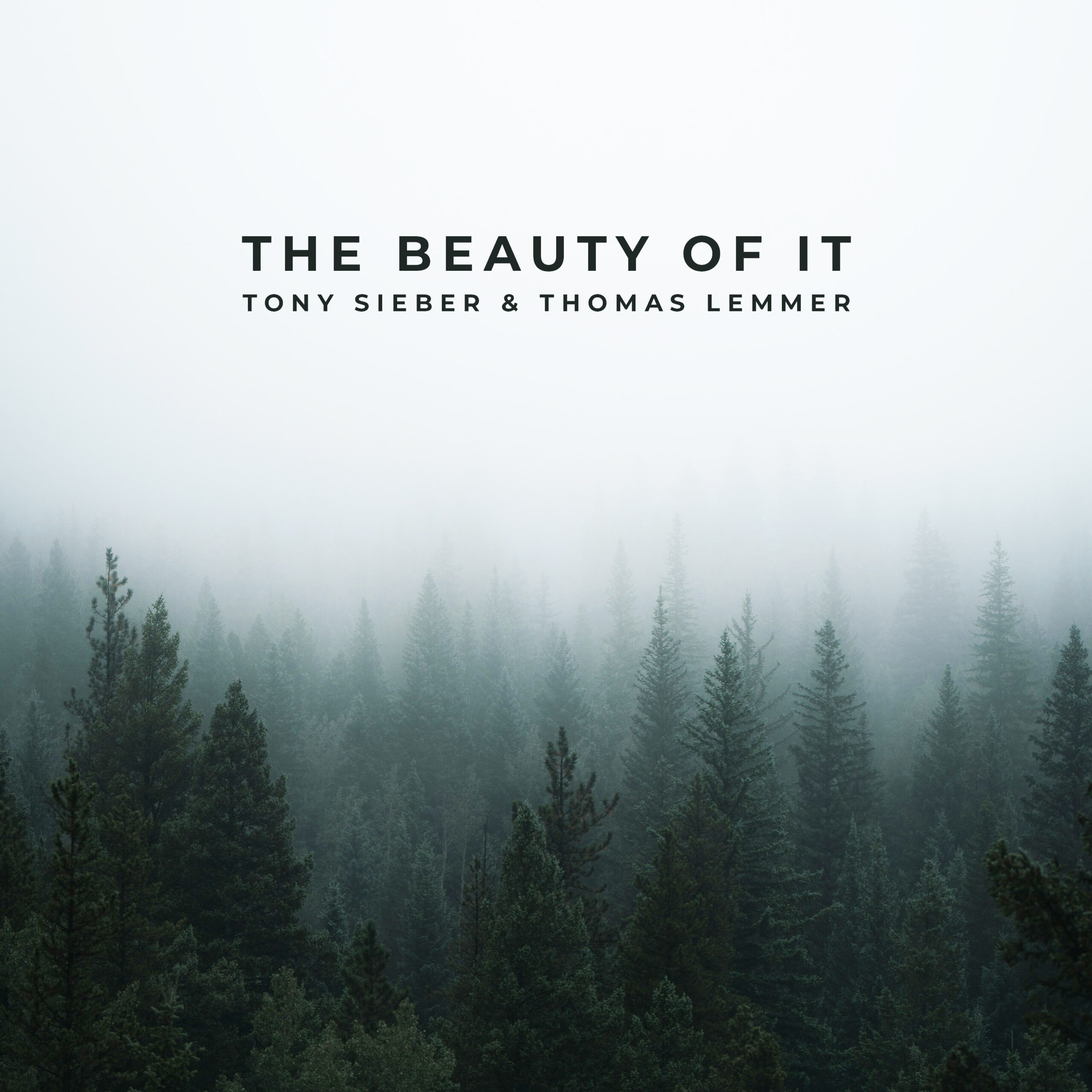 New Single: The beauty of it (Reimagined) with Tony Sieber
